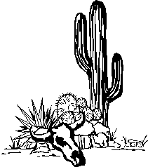 Cactus and skull.