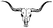 Cow skull drawing